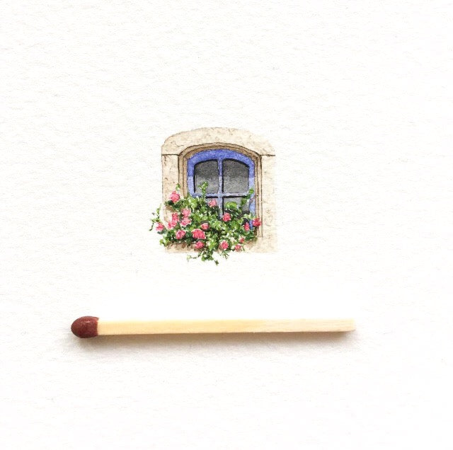 Window box