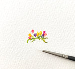 Bright and cheery flowers