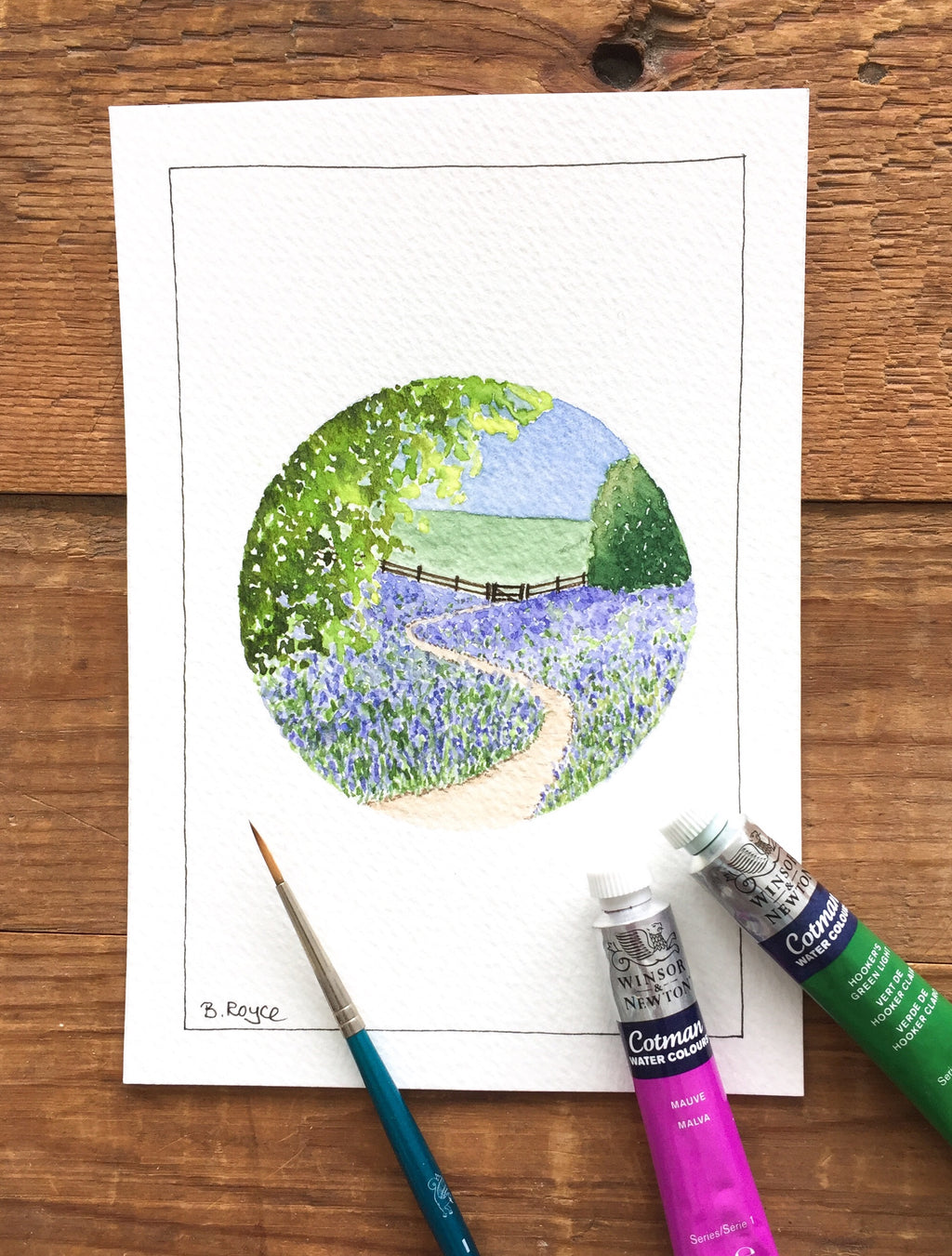 Bluebell walk