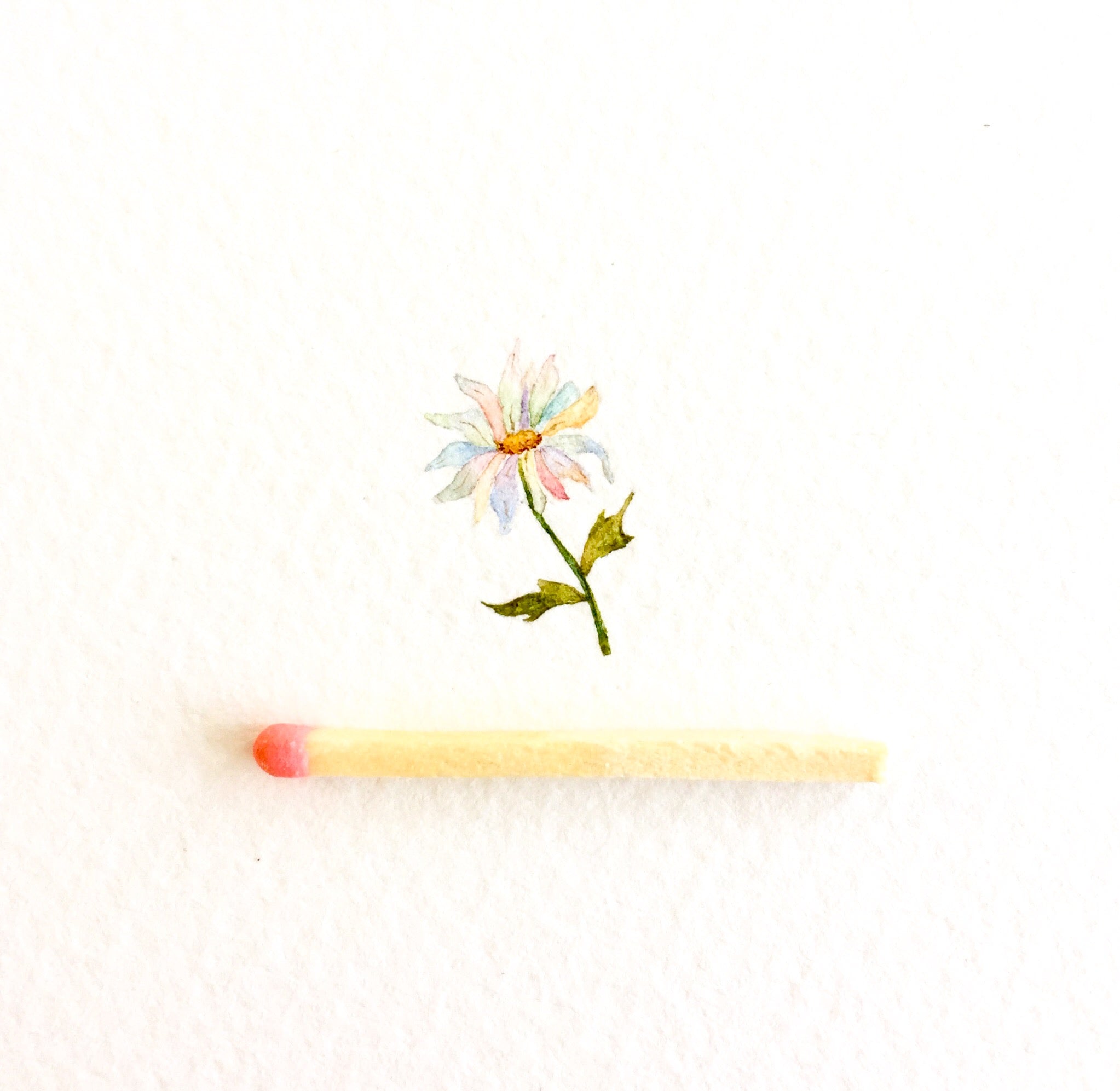 Just a daisy