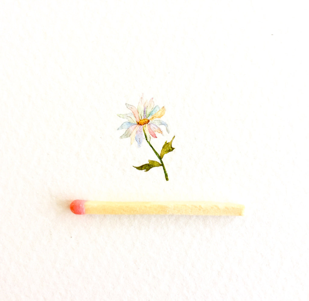 Just a daisy