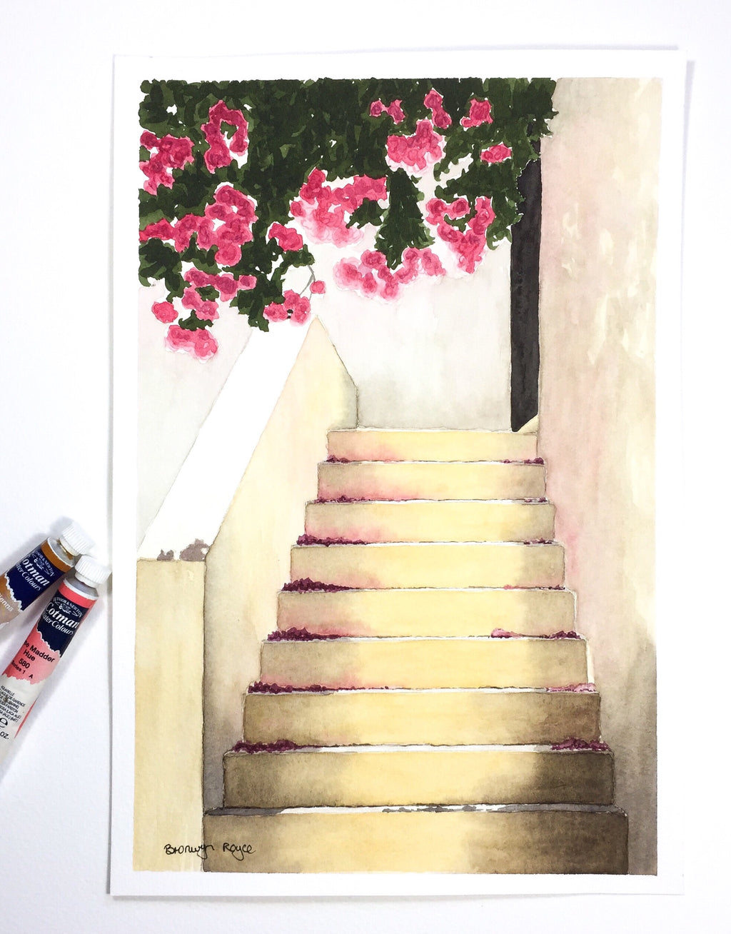 Bougainvillea glow