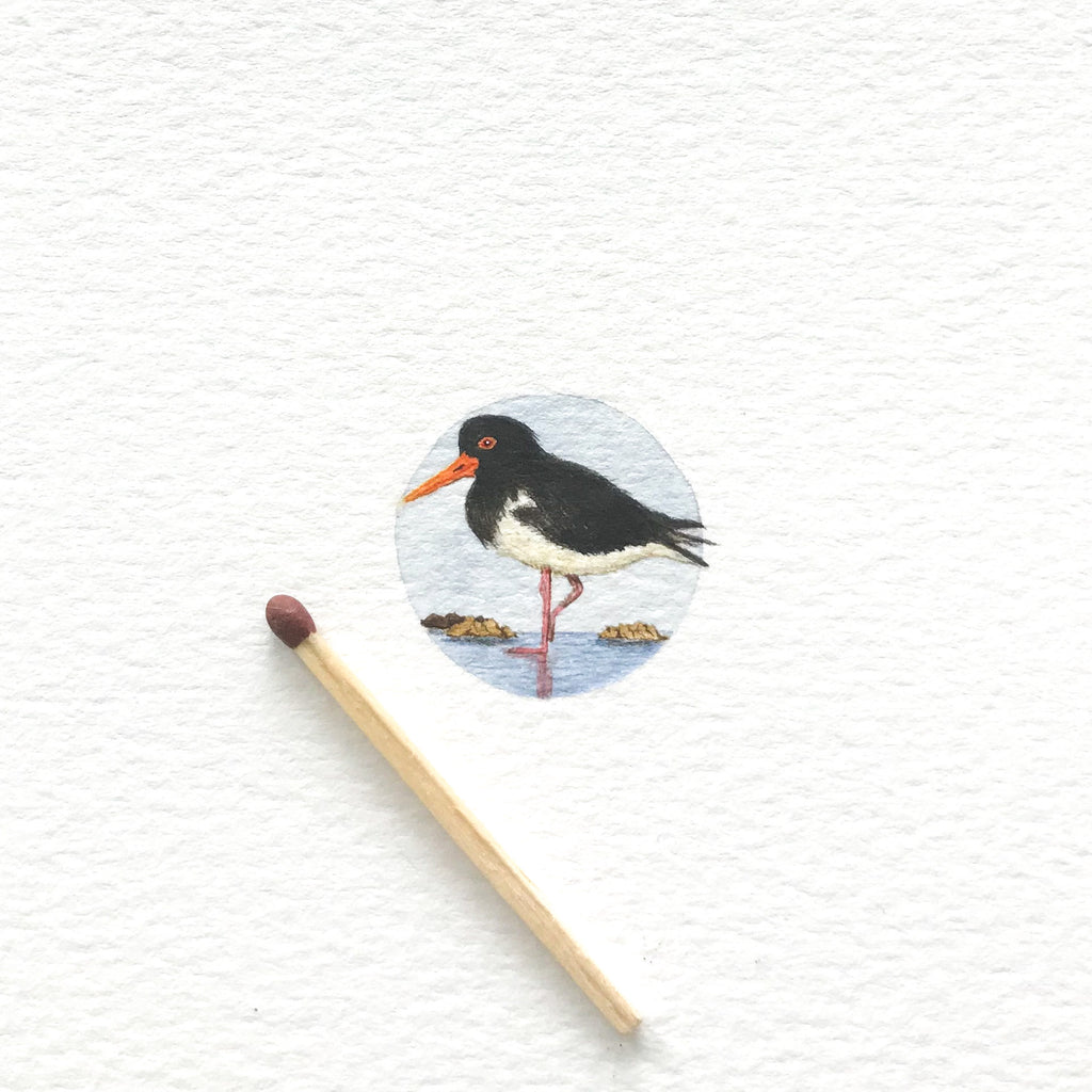 Oystercatcher - SOLD