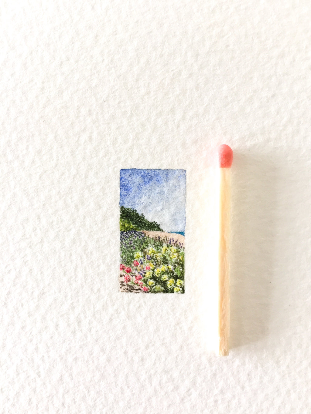 Beach flowers