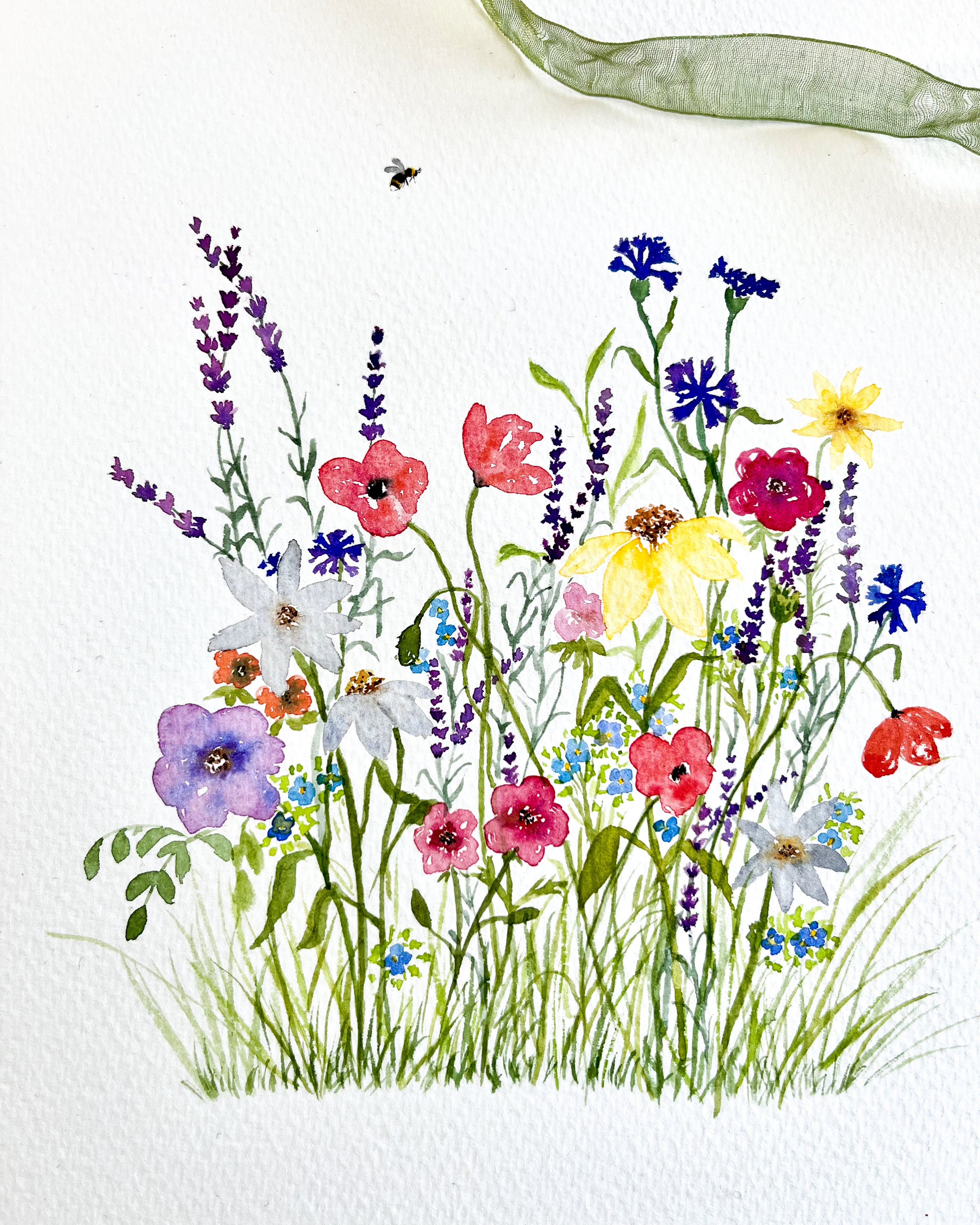 Countryside meadow