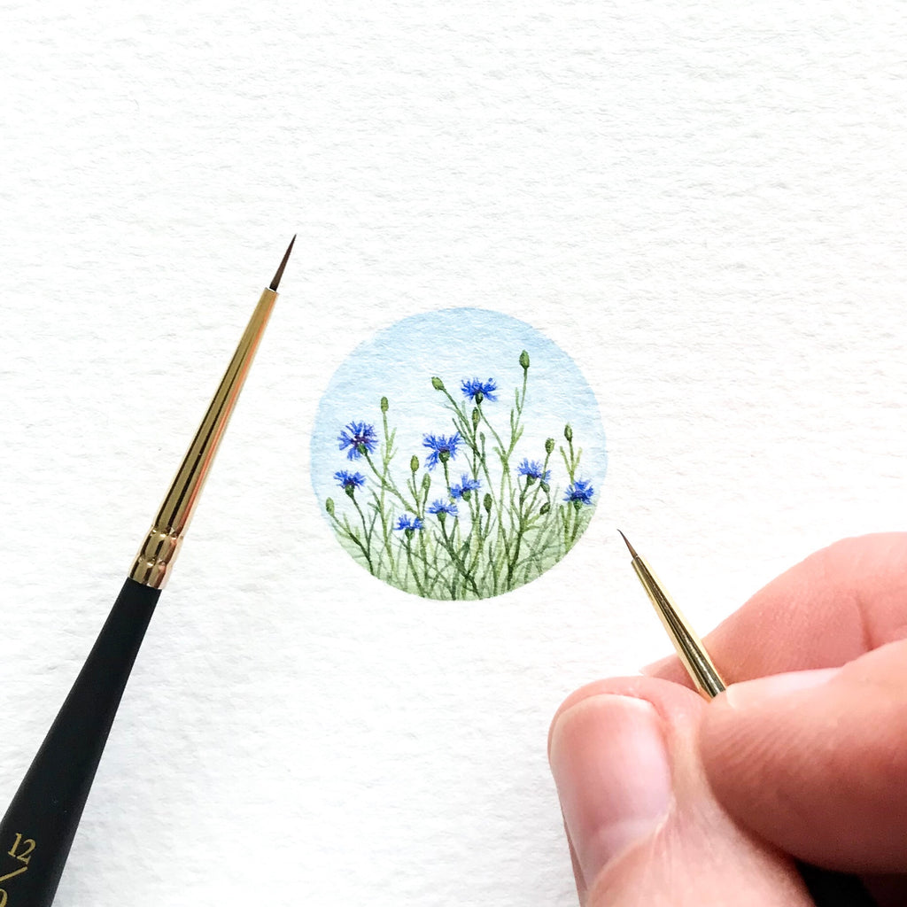 Cornflowers