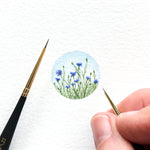 Cornflowers