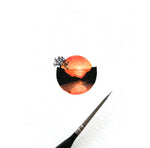Circular sunset