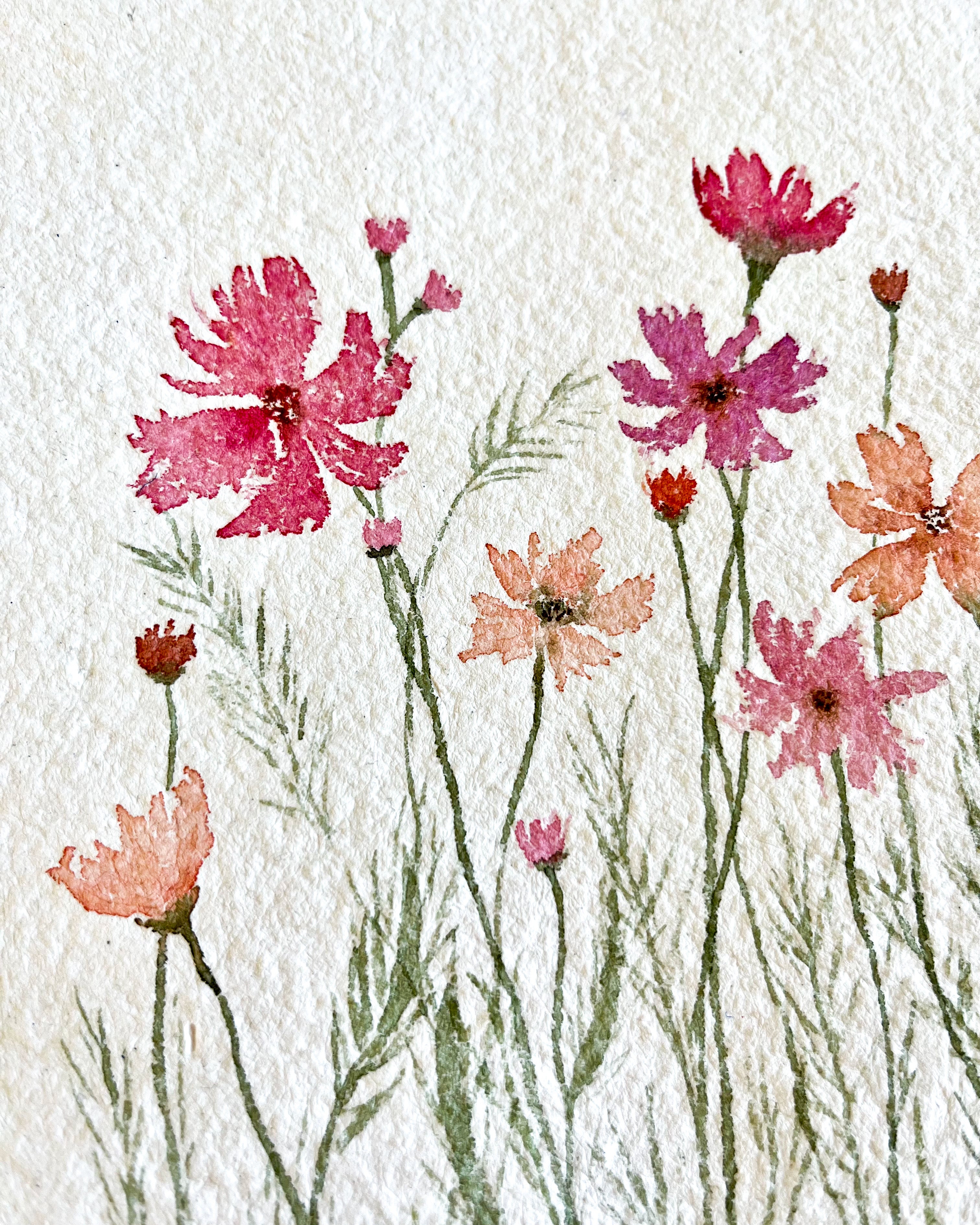 Wild cosmos