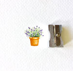 Lovely lavender